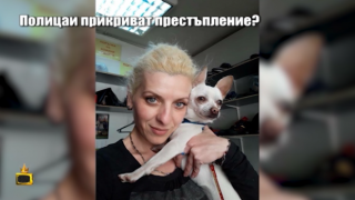 Полицай прегази куче на пешеходна пътека, негови колеги се опитват да го прикрият