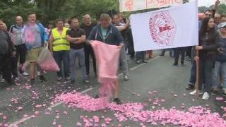 Производители на рози протестират срещу ниската изкупна цена на суровината -