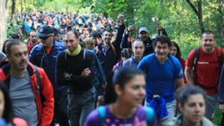 Стотици се включиха в походa в памет на алпиниста Боян Петров