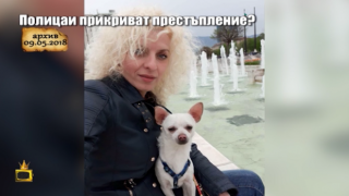 Установен е полицаят, прегазил куче на пешеходна пътека, но все още крият името му