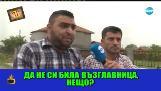 Гледам и не вярвам на ушите си: Името на Македония, гласовито куче и страшен скандал в "Съдебен спор"