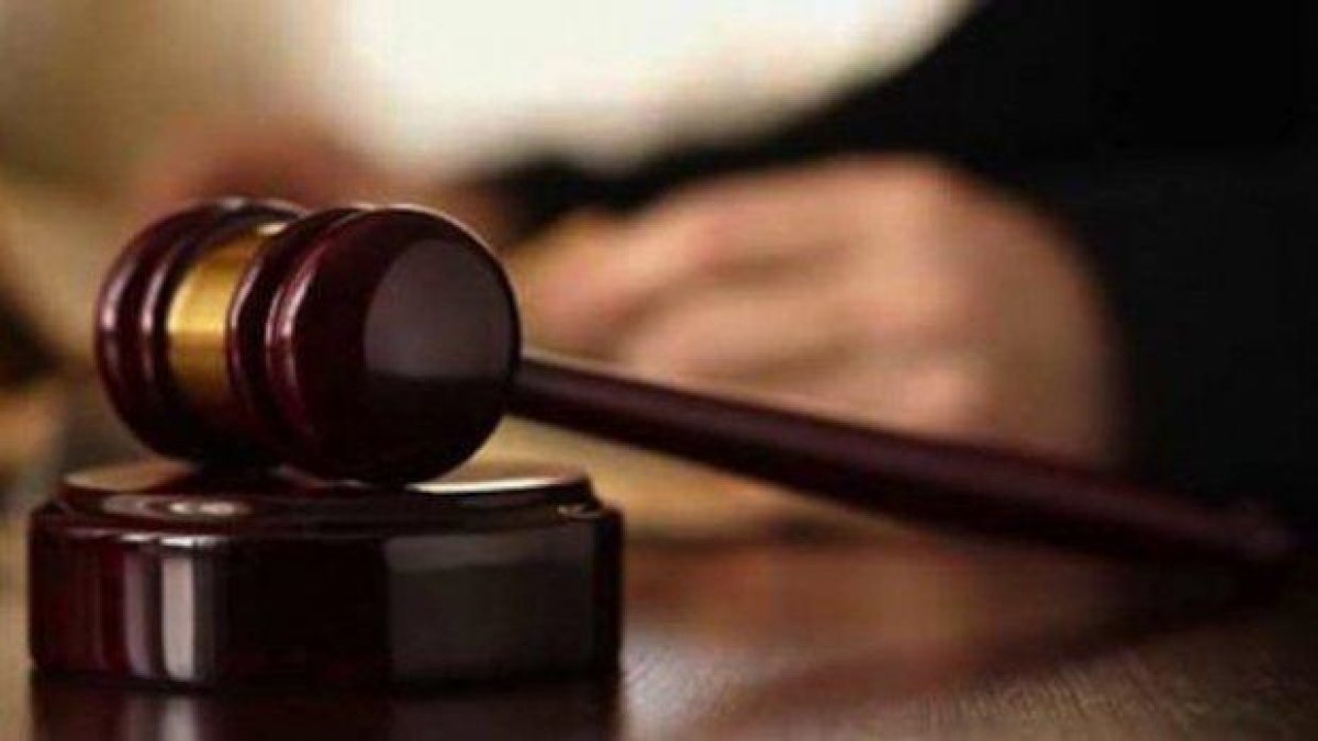 Глоба от 2000 лева за мъж убил съседски кучета