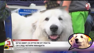 Новото гадже на Дасти се оказа кмет в оставка