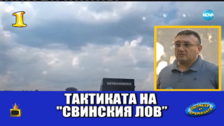 Господар на седмицата е родната полиция и невероятния и свински лов на избягал затворник
