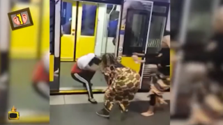 Жени разхвърлят тупаници и бельо в метрото в Германия