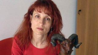 Експерт: Овцете в Странджа е можело да бъдат спасени