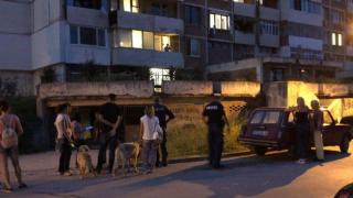 Полиция търси изверг, който избива котки във Велико Търново