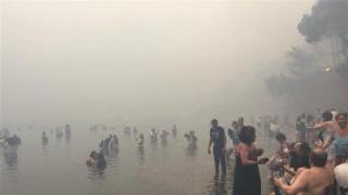 Плажовете на спасението в Гърция (видео)