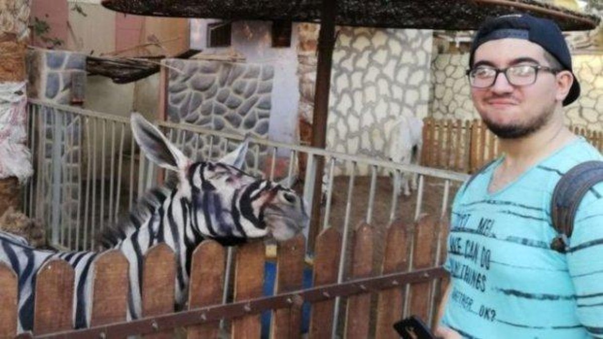 Обвиниха зоологическа градина в Египет, че е нарисувала магаре, за да изглежда като зeбра