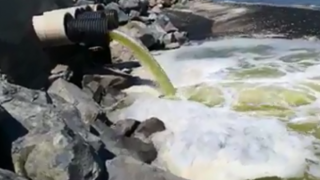 Мръсни води текат директно в Черно море (видео)