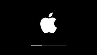 16-годишно момче призна, че хакнало Apple "неколкократно"