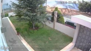 Вижте как започва пожарът в Атика (видео)