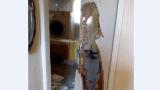 Вандали потрошиха с брадви и чукове в Центъра за деца с аутизъм в Плевен (снимки)
