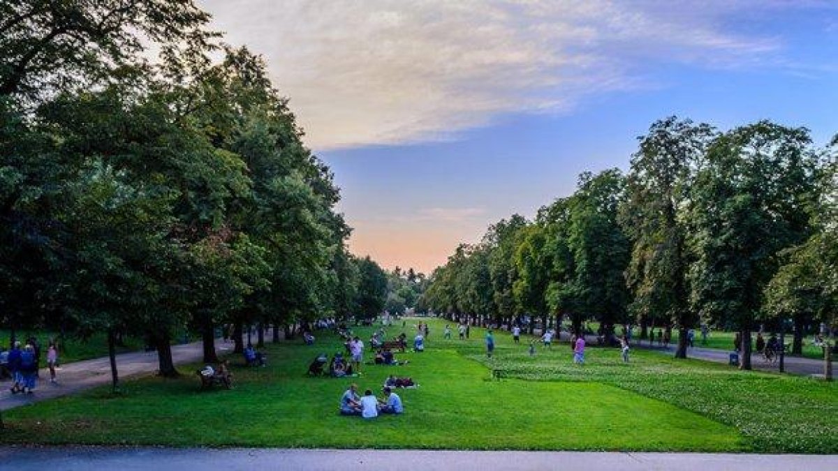 Шофьор с телефон на ухото блъсна велосипедистка и избяга