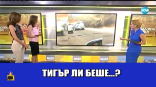 Аделина Радева бърка животински видове при разбор на видео