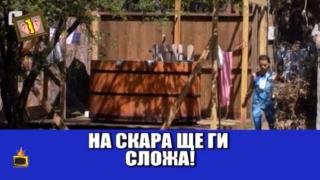 Избягала овца предизвиква скандал във "Фермата"