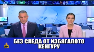 Ясновидци търсят кенгуруто Кики в бамбуковите гори на Сандански