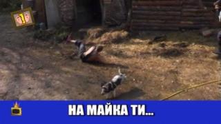 Луда надпревара между прасета и хора във "Фермата"