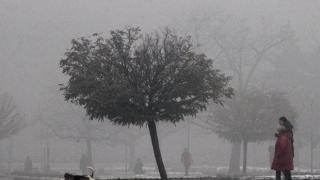 Фините прахови частици увреждат органи, oбяснява лекар