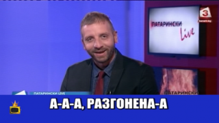 Разгонени котки мяукат в ефир