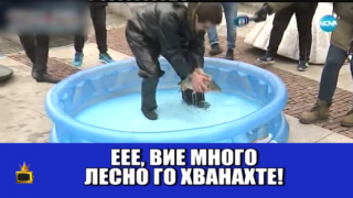 Малко Коте, шаран има ли?