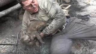 В трогателно видео мъж спасява коте след пожарите в Калифорния (видео)