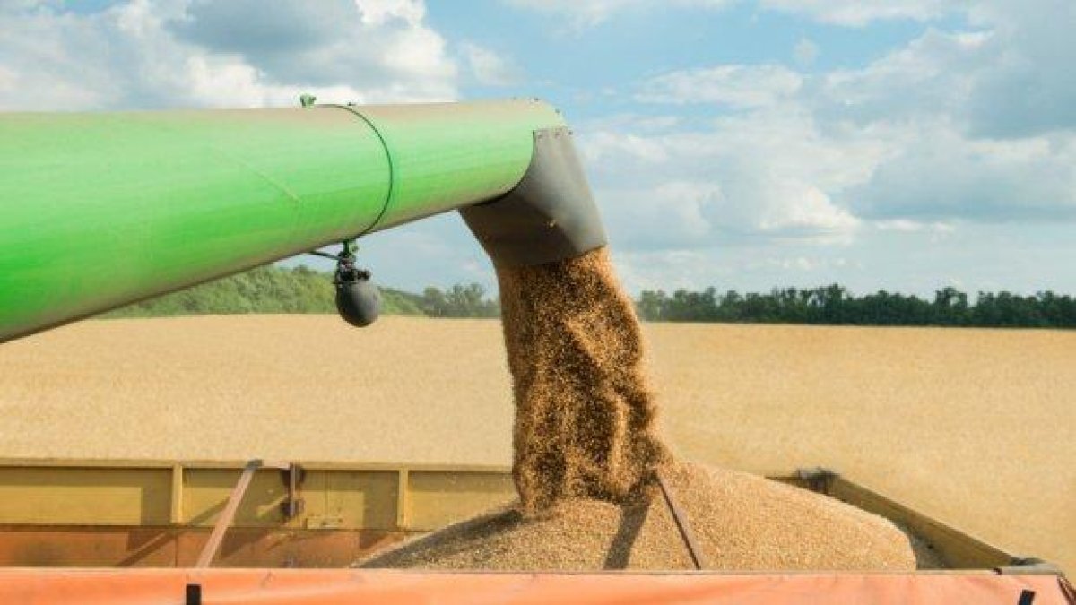 Бизнесмен присвоил над 6,5 тона зърно, грози до 20 години затвор