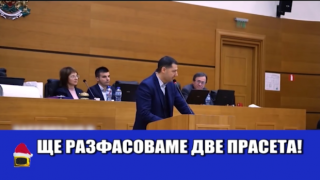 Разфасоването на прасета е социален експеримент, според кмета на Пловдив