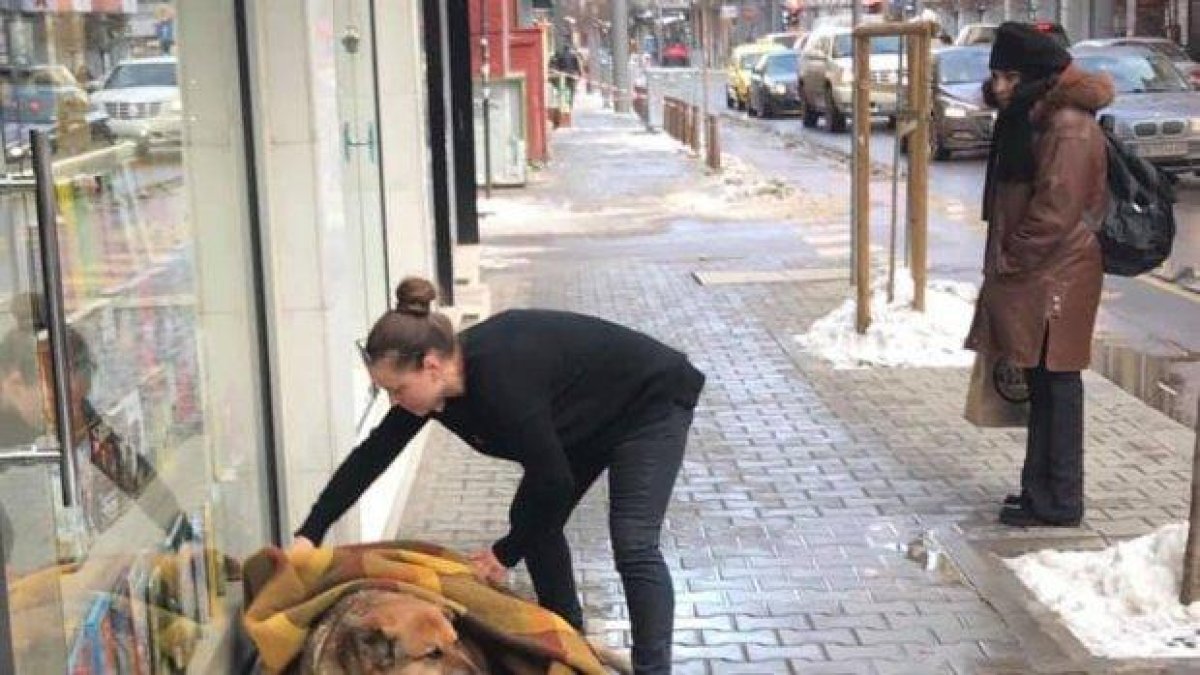Снимка на жена, която помага на куче в студа, стана хит в мрежата