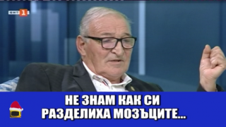 Чичковите червеномитковчета: Сънуват индивидуално, спят по двойки