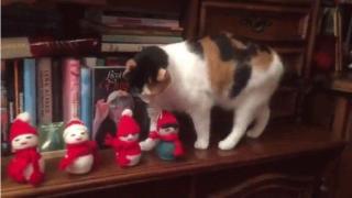 Типично: котка събаря коледни играчки от лавицата