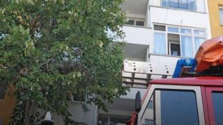 Огромно дърво падна върху кооперация в центъра на Пловдив