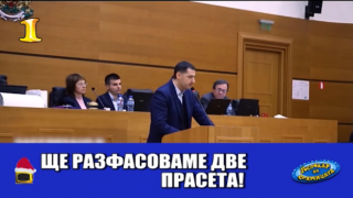Господар на седмицата станаха прасетата за разфасоване в Пловдив