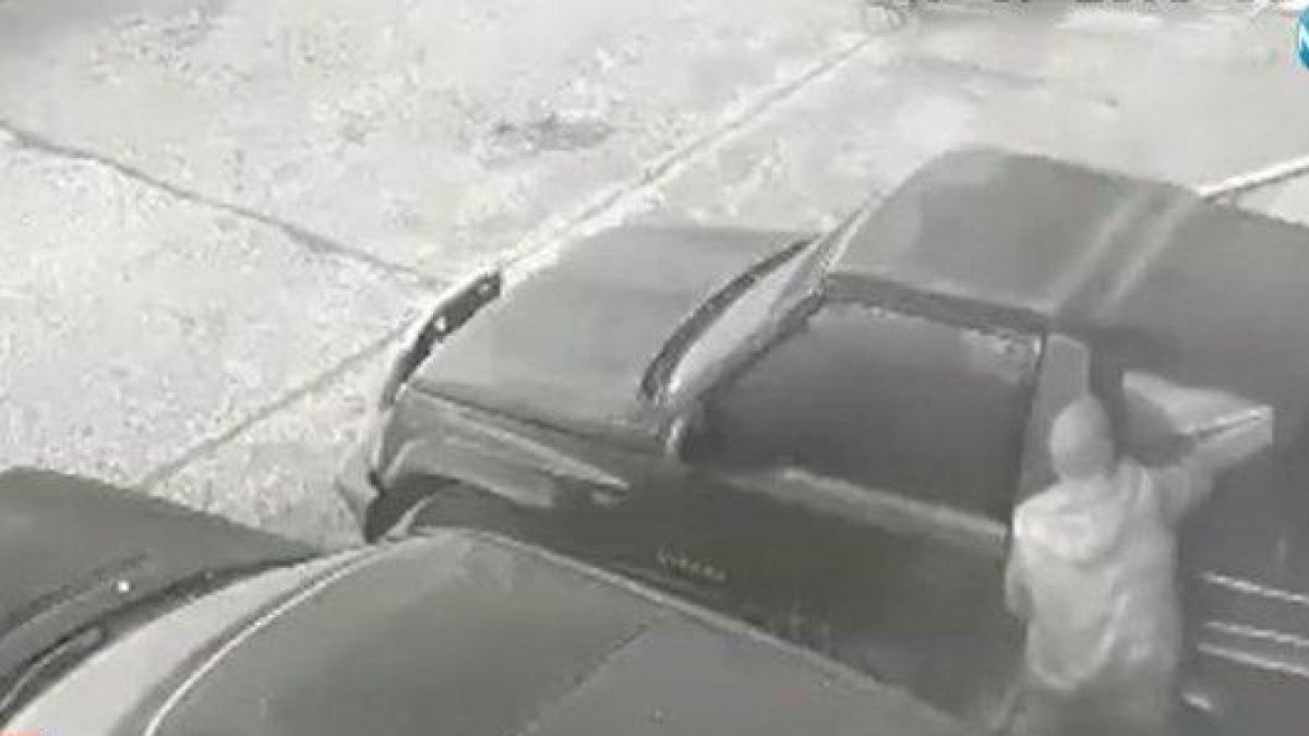 Опасна банда върлува из София, атакуват се коли, жилища и хора