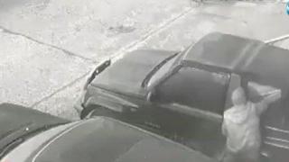 Опасна банда върлува из София, атакуват се коли, жилища и хора
