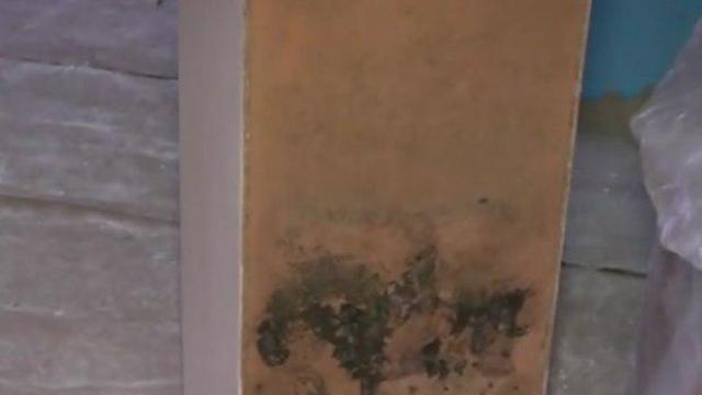 Падаща мазилка и мухъл в нова детска градина във Варна