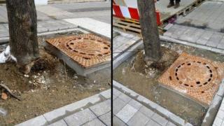 Поредно безобразие от ремонтите в София: шахта в дърво (снимка)
