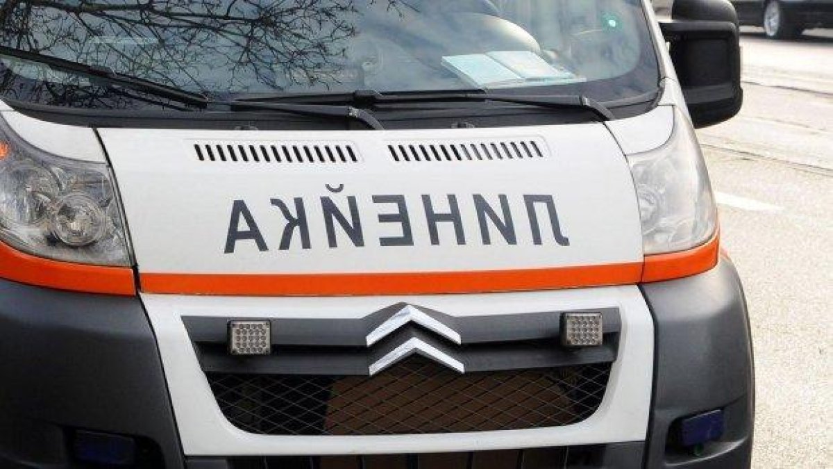 Диригентката на хор "Търновград" е в тежко състояние, нахапана е от питбул