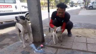 Майка куче вика за помощ, за да спаси малкото си (видео)