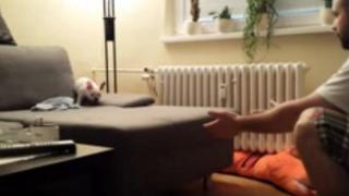 Малко кученце безстрашно скача от дивана в ръцете на стопанина си (видео)
