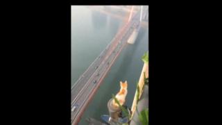 Живот на ръба