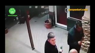 ЗООПОЛИЦИЯ (кадрите съдържат насилие)