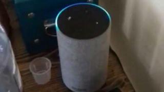 Шотландка остана разочарована, след като Amazon Alexa не разбра акцента ѝ (видео)