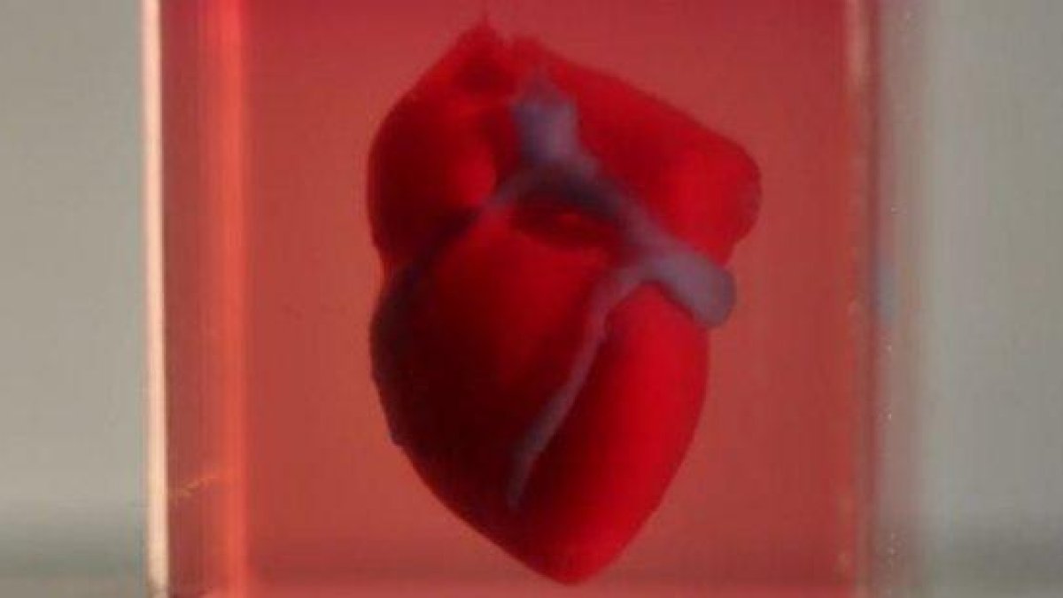 Учени напечатаха живо сърце на 3D принтер
