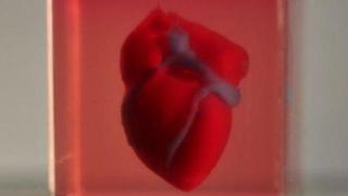 Учени напечатаха живо сърце на 3D принтер