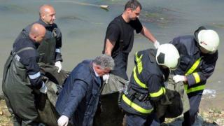 Мъртво диво прасе изплува при централния парк в Силистра (снимки)