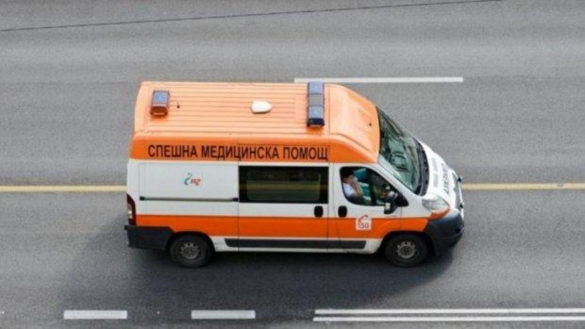 Бус с работници е катастрофирал край Видин, не успял да вземе завой