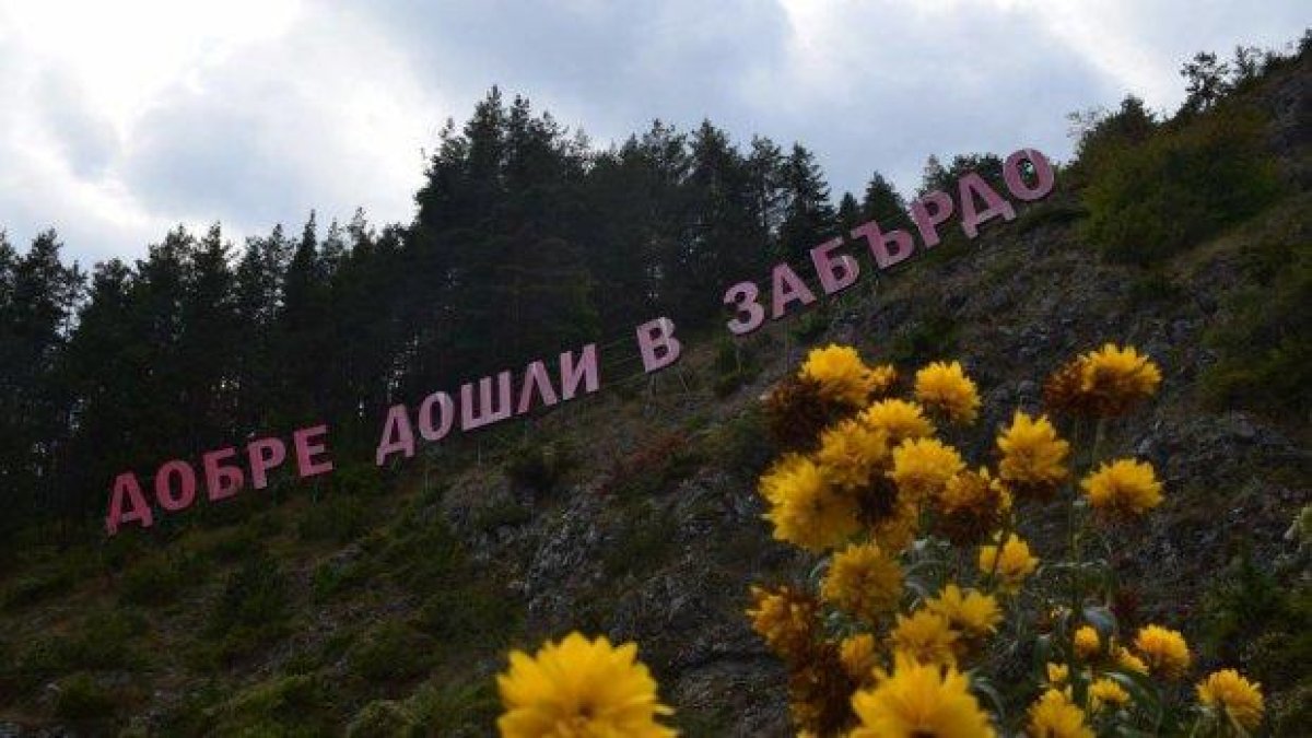 Засукана фурнаджийка запали любовна война в Забърдо