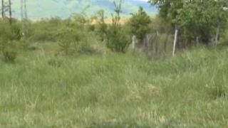Убиецът от Костенец следял жена си Милена поне месец