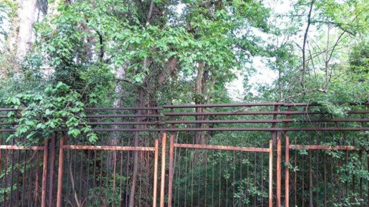 Ще строят три нови сгради в "Борисовата градина", сигнализира общински съветник